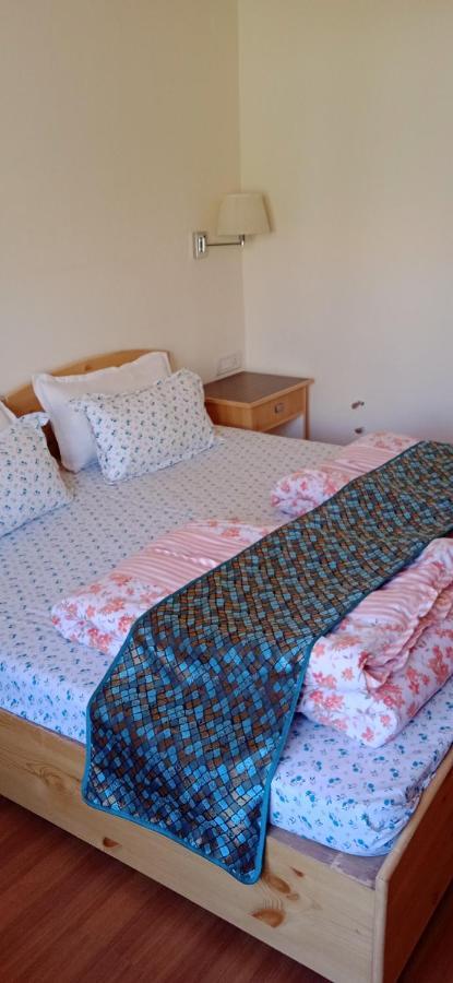 Lhardak Home Stay 레 외부 사진